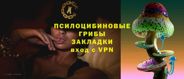трава Надым