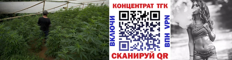 где купить наркоту  Белгород  Дистиллят ТГК вейп 
