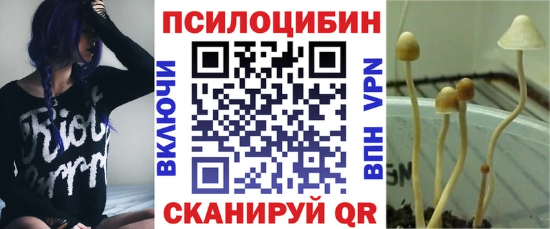 omg как войти Белгород Галлюциногенные грибы мицелий хочу
