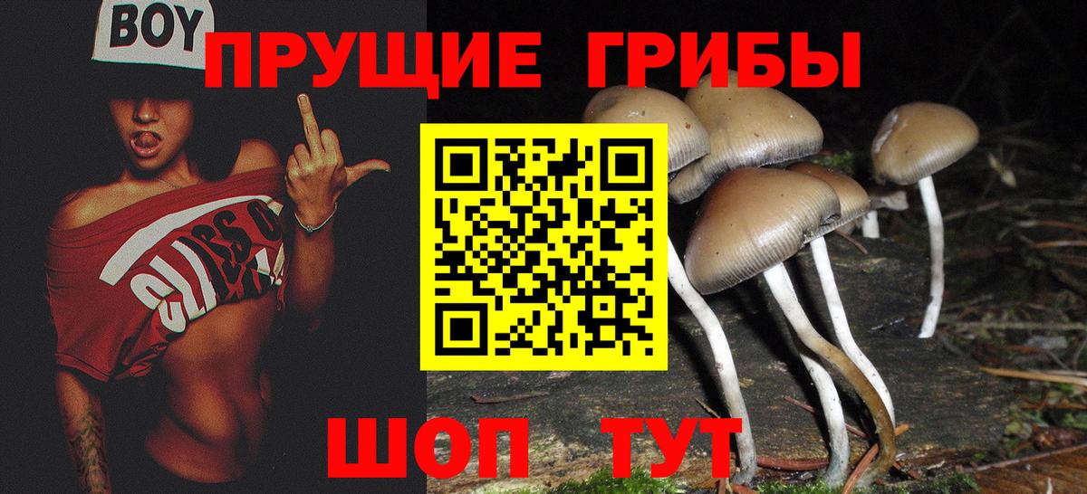 Галлюциногенные грибы мицелий Белгород