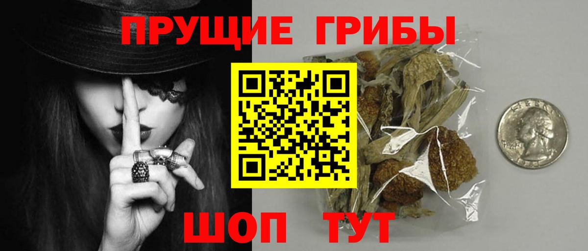 Псилоцибиновые грибы GOLDEN TEACHER  купить  цена  Белгород  Вход с VPN  Псилоцибиновые грибы Magic Shrooms 